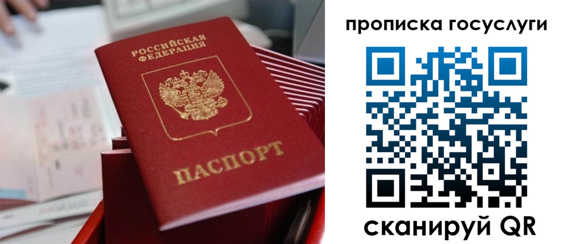 прописка законно в Ивантеевке